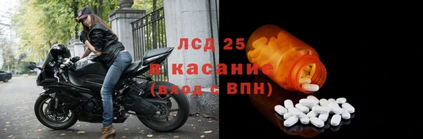 сатива Верея