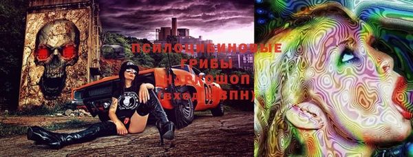 спиды Бронницы