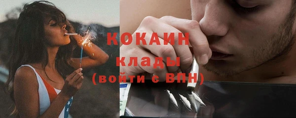 прущие крисы Бородино