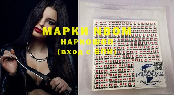прущие крисы Бородино
