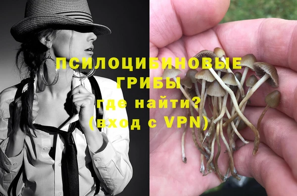 прущие крисы Бородино