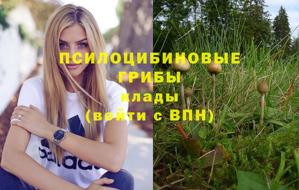 ешки Бугульма