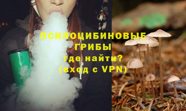 ешки Бугульма
