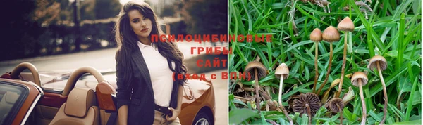 прущие крисы Бородино