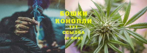 прущие крисы Бородино