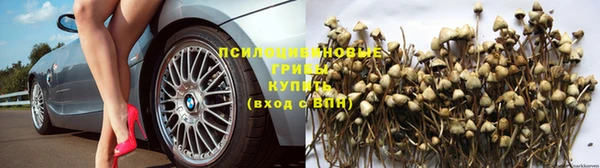 ешки Бугульма