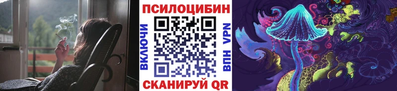 где купить наркоту Бородино маркетплейс Telegram Псилоцибиновые грибы мицелий